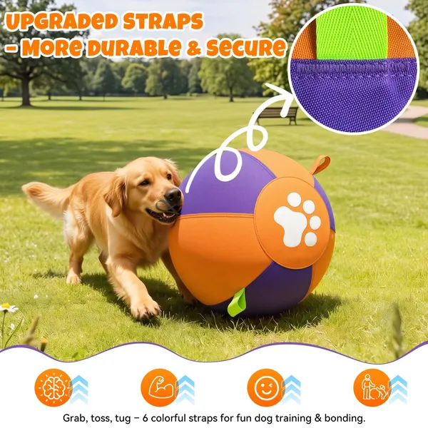 Pet Deluxe 25" Herding Ball for Large Dogs - Durable Interactive Herding Toy with Fast 2.5-Min Pump & Carry Handles, for Australian Shepherd, Border Collie, Outdoor Training & Backyard Play