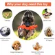 Pet Deluxe Squeaky Dog Toys for Aggressive Chewers, Durable Dog Toys Natural Rubber, Interactive Tough Dog Chew Crocodile Toy Teeth Cleaning for Medium Large Dogs