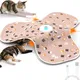 URRU Interactive Cat Toys for Indoor Cats‌,Automatic Rechargeable Hide and Seek Cat Toy with Mouse Sounds and Moving Concealed Feathers for Cats and Kittens Self Playing
