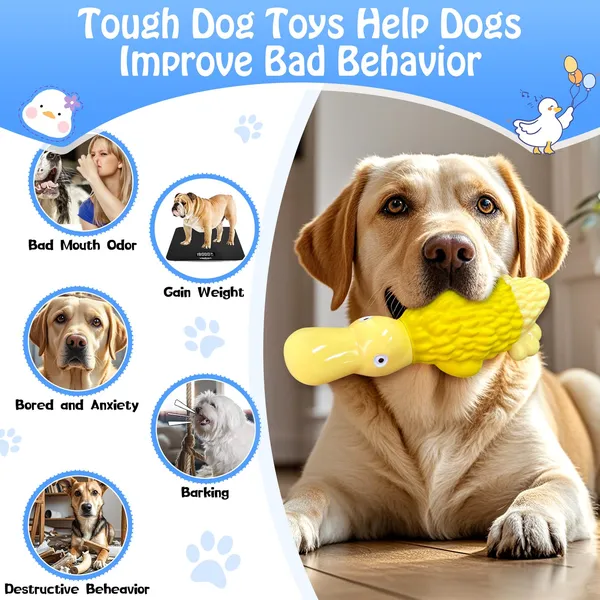 Pet Deluxe Dog Toys for Aggressive Chewers Tough Dog Chew Toys Cute Duck Squeaky Dog Toys for All Breed Sizes to Keep Them Busy