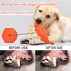 Pet Deluxe Squeaky Dog Toys for Aggressive Chewers, Durable Dog Toys Natural Rubber, Interactive Tough Dog Chew Crocodile Toy Teeth Cleaning for Medium Large Dogs