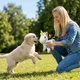 Pet Deluxe Plush Chew Toys for Large Dogs, Cute Unicorn Animal Squeaky Interactive Toys for Small Medium Large Dogs, Keep Them Busy, Big Pet Toys