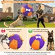 Pet Deluxe 25" Herding Ball for Large Dogs - Durable Interactive Herding Toy with Fast 2.5-Min Pump & Carry Handles, for Australian Shepherd, Border Collie, Outdoor Training & Backyard Play