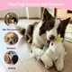 Pet Deluxe Plush Chew Toys for Large Dogs, Cute Unicorn Animal Squeaky Interactive Toys for Small Medium Large Dogs, Keep Them Busy, Big Pet Toys