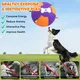 Pet Deluxe 18" Herding Ball for Large Dogs - Durable Interactive Herding Toy with Fast Pump in 60S & Carry Handles, for Australian Shepherd, Border Collie, Outdoor Training & Backyard Play