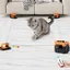 URRU Interactive Cat Toy for Indoor Cats,Automatic Teaser Cat Toy, 2 Control Mode & Mice Sound,Auto/RC DIY Cat Mouse Hunting Toy for Chase Hunt Weight Loss,Gifts for Cat Lovers-Orange