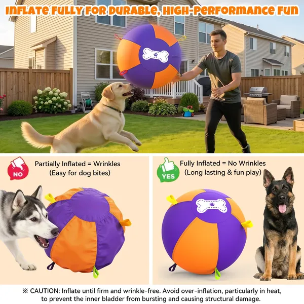 Pet Deluxe 25" Herding Ball for Large Dogs - Durable Interactive Herding Toy with Fast 2.5-Min Pump & Carry Handles, for Australian Shepherd, Border Collie, Outdoor Training & Backyard Play