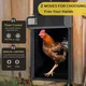 Automatic Chicken Coop Door, Aluminum Weatherproof Coops Door Opener with Timer, Predator Resistant Self-Locking Auto Chicken Doors for Home & Farm