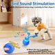Interactive Dog Toys Wicked Ball, Moving Dog Ball with Touch Activated, Squeaky Dog Toy, Active Rolling Ball for Small/Medium/Large Dogs, Dog Toys for Aggressive Chewers,Blue