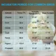 18 Egg Incubator with Automatic Egg Turning and Humidity Control, 360° View Auto Water Adding, Egg Candler Incubators for Hatching Eggs for Chicken Ducks