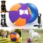 Pet Deluxe 18" Herding Ball for Large Dogs - Durable Interactive Herding Toy with Fast Pump in 60S & Carry Handles, for Australian Shepherd, Border Collie, Outdoor Training & Backyard Play
