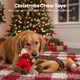 URRU Christmas Dog Toys - 2 Pack Squeaky Stuffed Toys for Large Medium Small Dogs With Detachable Rope, Crinkle to Keep Them Busy - Santa Claus & Reindeer