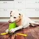 Dog Toy for Aggressive Chewers, Indestructible Dog Chew Toys Squeaky , Interactive Tough Durable for Large Breed(Green,Large)