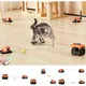 URRU Interactive Cat Toy for Indoor Cats,Automatic Teaser Cat Toy, 2 Control Mode & Mice Sound,Auto/RC DIY Cat Mouse Hunting Toy for Chase Hunt Weight Loss,Gifts for Cat Lovers-Orange