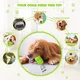 Dog Toy for Aggressive Chewers, Indestructible Dog Chew Toys Squeaky , Interactive Tough Durable for Large Breed(Green,Large)