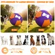 Pet Deluxe 25" Herding Ball for Large Dogs - Durable Interactive Herding Toy with Fast 2.5-Min Pump & Carry Handles, for Australian Shepherd, Border Collie, Outdoor Training & Backyard Play