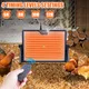 Chicken Coop Heater, Chicken Heater for Inside Coop 200W with Remote Control Timing Function, Adjustable Temp, Light, Perfect Chicken Coop Accessories Kitten Puppy Pets for Winter