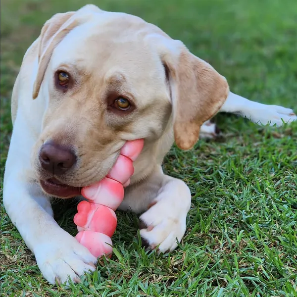 Dogs Chew Toys for Aggressive Chewers, Long Lasting Dog Toys, Indestructible Dog Toys, Tough Dog Toys, for Large/Medium Dogs Chew