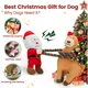 Christmas Dog Toys - 2 Pack Squeaky Stuffed Toys for Large Medium Small Dogs With Detachable Rope, Crinkle to Keep Them Busy - Santa Claus & Reindeer