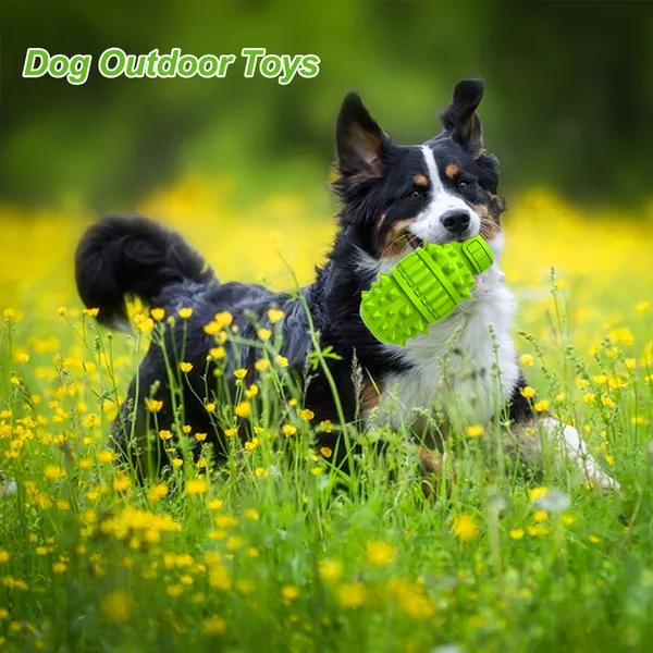 Dog Toy for Aggressive Chewers, Indestructible Dog Chew Toys Squeaky , Interactive Tough Durable for Large Breed(Green,Large)