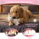 Pet Deluxe Plush Chew Toys for Large Dogs, Cute Unicorn Animal Squeaky Interactive Toys for Small Medium Large Dogs, Keep Them Busy, Big Pet Toys
