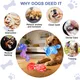 Pet Deluxe 3 Pack Dog Toys for Aggressive Chewers Dog Chew Toys for Medium Large Dogs, Milk Flavored Indestructible Dog Toy, Dense Nylon Tough Dog Toy to Keep Them Busy, Reduce Boredom