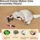 URRU 4Pcs Cat Toys, Horror Halloween Knife-Shaped Kitten Catnip Crinkly Sound Toys, Indoor Exercise for All Cat Breeds 6.5 Inches