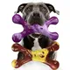 Aggressive Chewers Dog Chew Toys - 2 Pack Tough Dog Toys for Aggressive Chewers Large Breed, Indestructible Dogs Toy for Gift, Interactive to Keep Them Busy