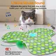 URRU Interactive Cat Toys for Indoor Cats,Hide and Seek Interactive Cat Toy with Real Mouse Squeaky & Moving Concealed Feathers,Touch Activated Cat Kitten Toy Exercise Toy for Indoor Bored Adult Cat