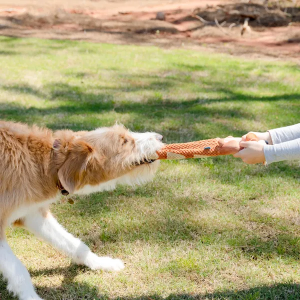 Crinkle Dog Toy Plush Toy Tug-of-War Squeaky Dog Toy Boredom Buster Toys with Snack Pockets Durable Enrichment Mentally Stimulating Toys for Small, Medium, Large Dogs