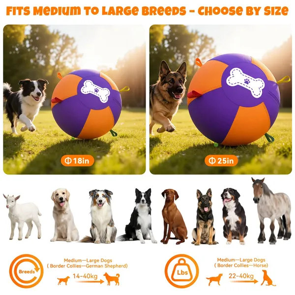 Pet Deluxe 25" Herding Ball for Large Dogs - Durable Interactive Herding Toy with Fast 2.5-Min Pump & Carry Handles, for Australian Shepherd, Border Collie, Outdoor Training & Backyard Play