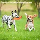 Pet Deluxe Squeaky Dog Toys for Aggressive Chewers, Durable Dog Toys Natural Rubber, Interactive Tough Dog Chew Crocodile Toy Teeth Cleaning for Medium Large Dogs