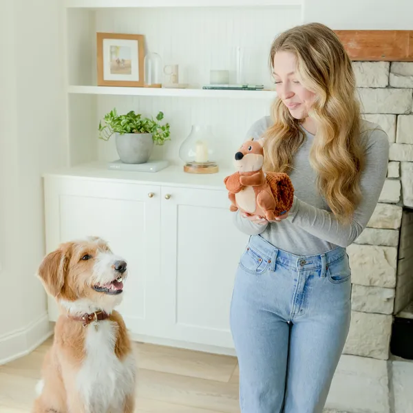 Crinkle Dog Toy Plush Toy Tug-of-War Squeaky Dog Toy Boredom Buster Toys with Snack Pockets Durable Enrichment Mentally Stimulating Toys for Small, Medium, Large Dogs