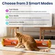 URRU Interactive Cat Toy for Indoor Cats,Electric Feather Teaser Cat Toys,Cat Tunnel Tube Toy,USB Rechargeable Self-Play Enrichment Toy for Bored Cats